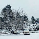 Отзывы об отдыхе в автодомах на Алтае в 2025 году