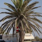 Компания Автодом Алтай – лидер на рынке автодомов в Алтайском регионе