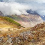 Аренда дома на колесах на Алтае в Барнауле