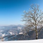 Авто Палатка для Поездки на Кавказ: Выбор и Преимущества