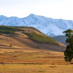 Аренда домов на колесах на Кольском полуострове images42.jpg