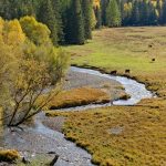 Прокат домов на колесах на Кольском полуострове в 2025 году